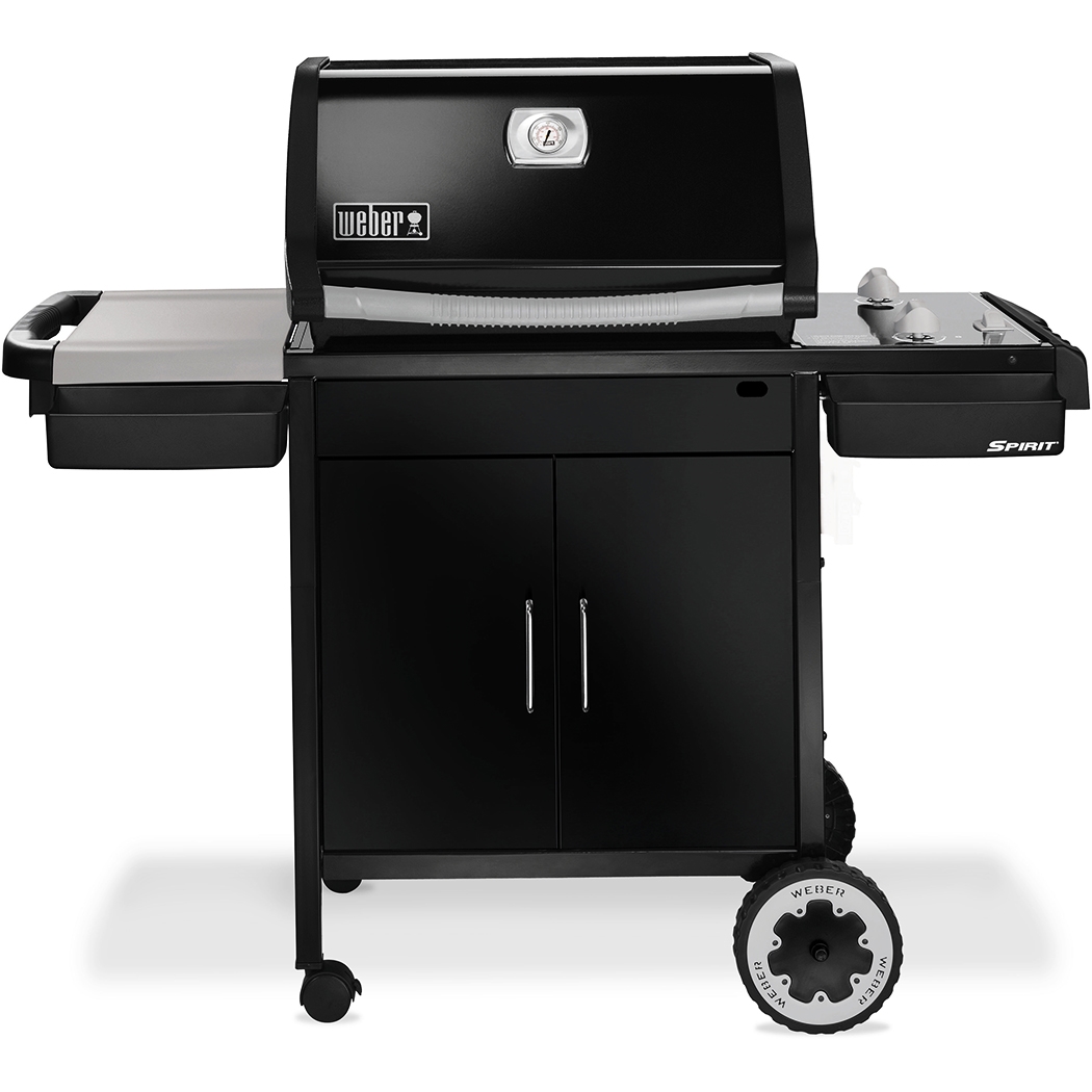 weber e210